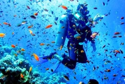Andaman Escape Through Port Blair, Havelock and Neil Island