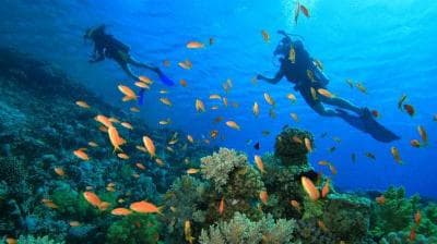 Andaman Island Escape through Port Blair, Havelock and Neil