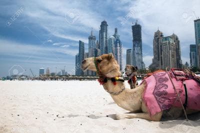 Splendid Dubai Honeymoon Package