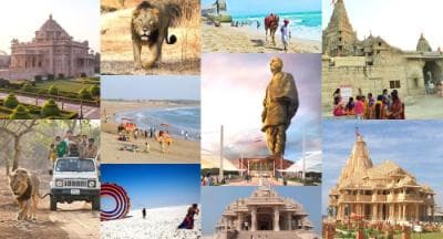 Vadodara to Sasan Gir Wildlife Escape in Gujarat