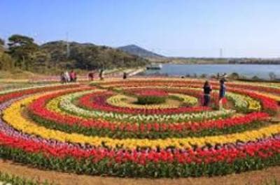 Srinagar Serenity Escape with Kashmir’s Lakes and Valley Charm