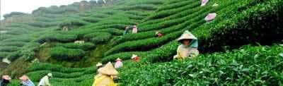 5 Night 6 Days Gangtok & Pelling