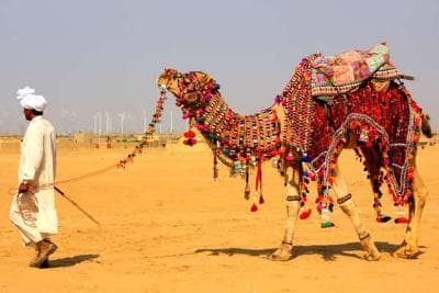 Bikaner