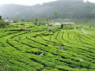 Bangalore, Coorg, Mysore and Ooty: Scenic South India Escape
