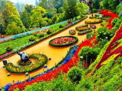 Bangalore to Coorg: Coffee Hills and Scenic Weekend Escape