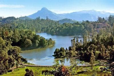 Bangalore to Coorg Escape Amid Coffee Estates and Misty Hills