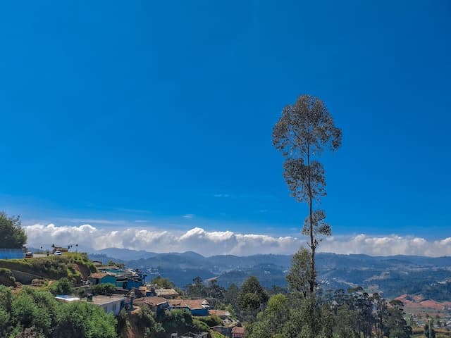 Bangalore, Mysore, Ooty and Coorg Scenic Hill and Heritage Escape