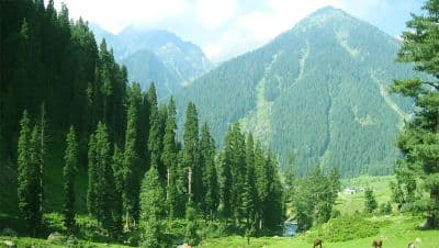 Aru Valley