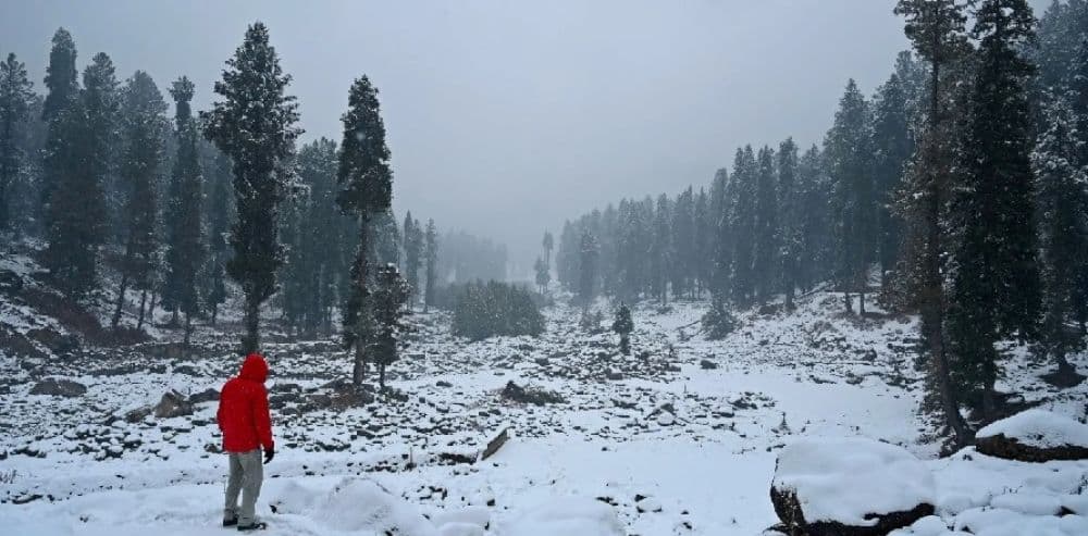 Yusmarg