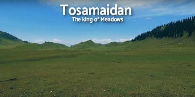 Tosa Maidan