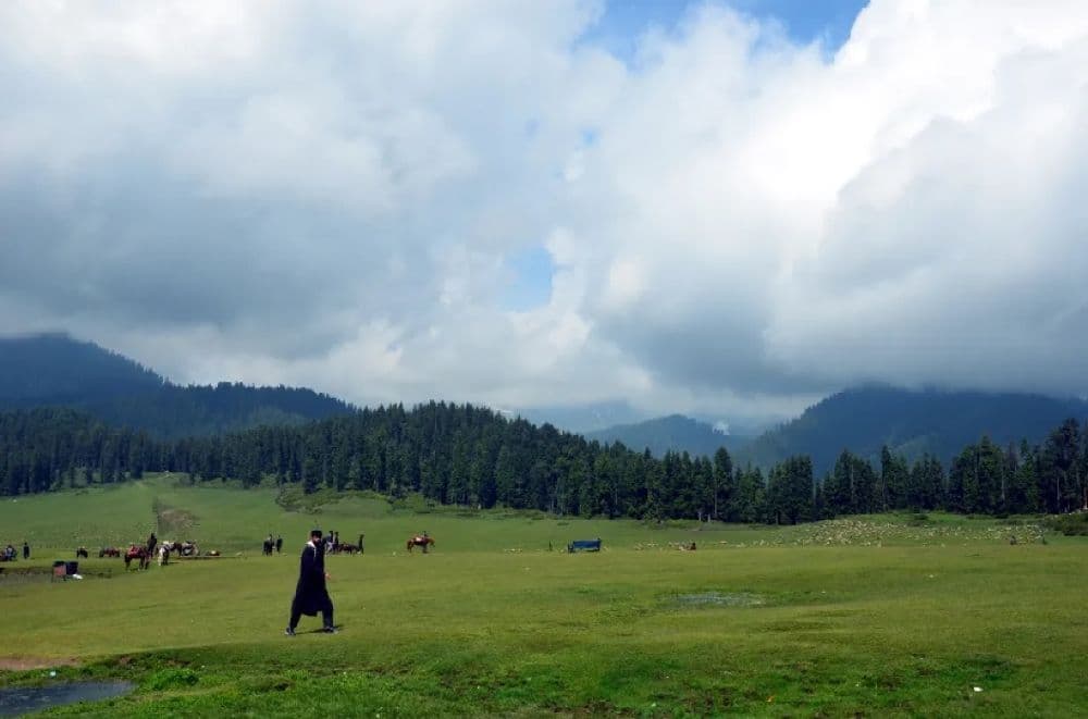 Doodhpathri Meadow