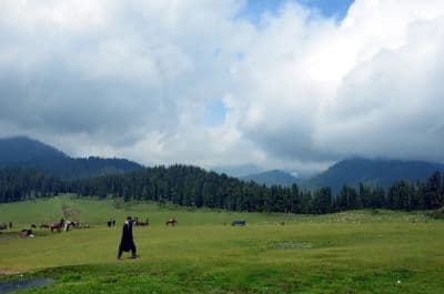 Doodhpathri Meadow