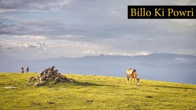 Billoo ki Powri