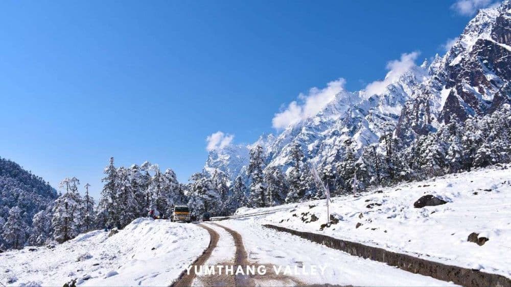 Yumthang Valley