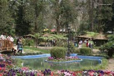 Saramsa Garden