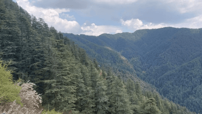 Green Valley