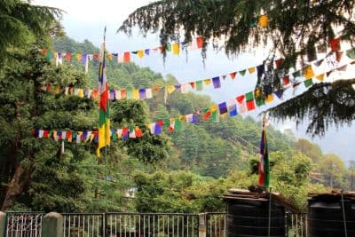 Tushita Meditation Centre