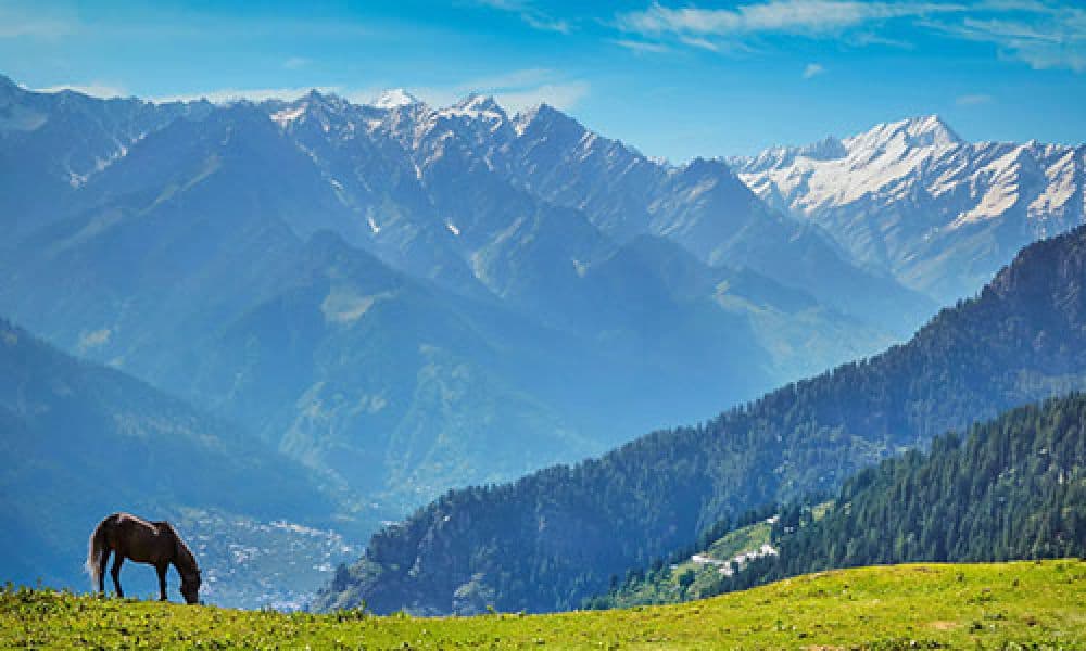 Bakrota Hills