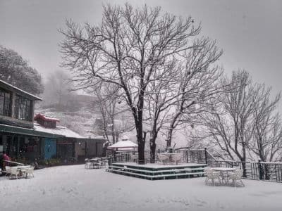 Kasauli Club