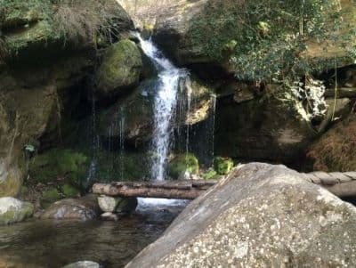 Jana Waterfall Kullu