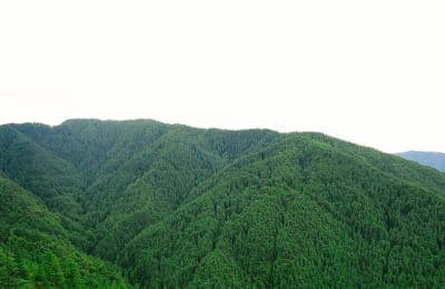 Green Valley