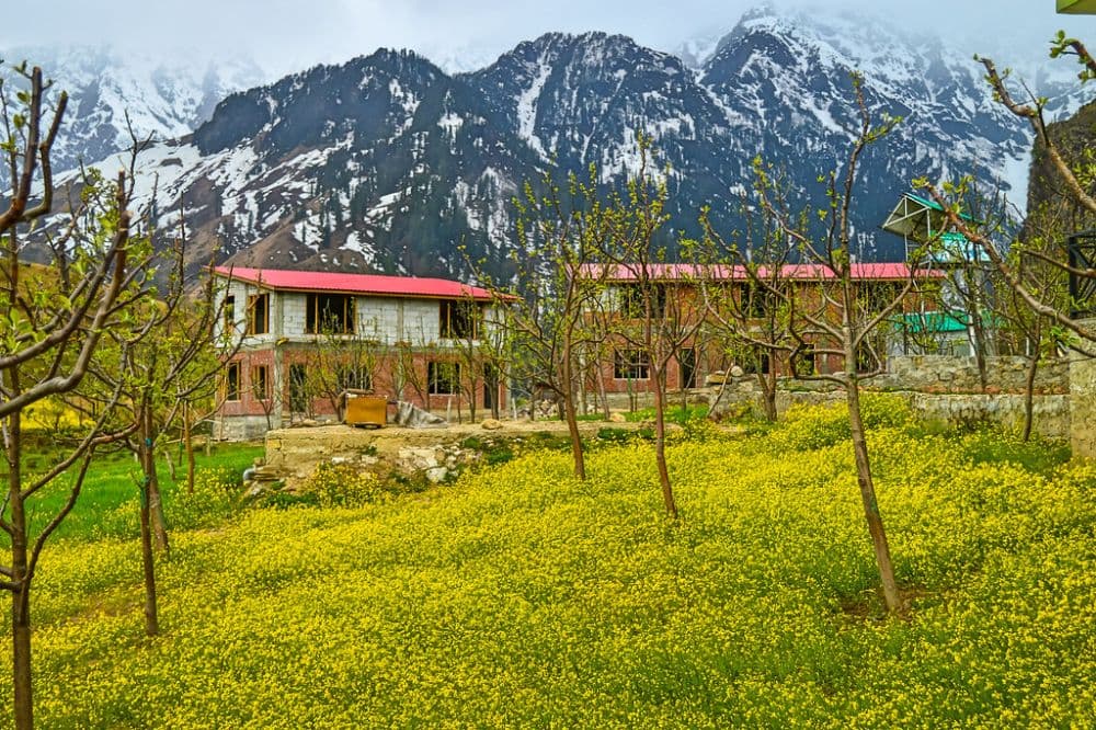 Kothi Village