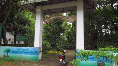 Mangalavanam Bird Sanctuary