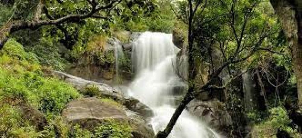 Wayanad