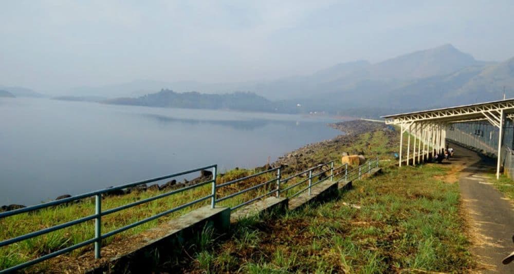Wayanad Wildlife Sanctuary