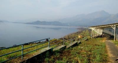 Wayanad Wildlife Sanctuary