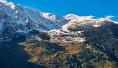 JauBaug