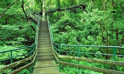 Murikkady