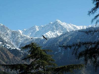 Dhauladhar National Park
