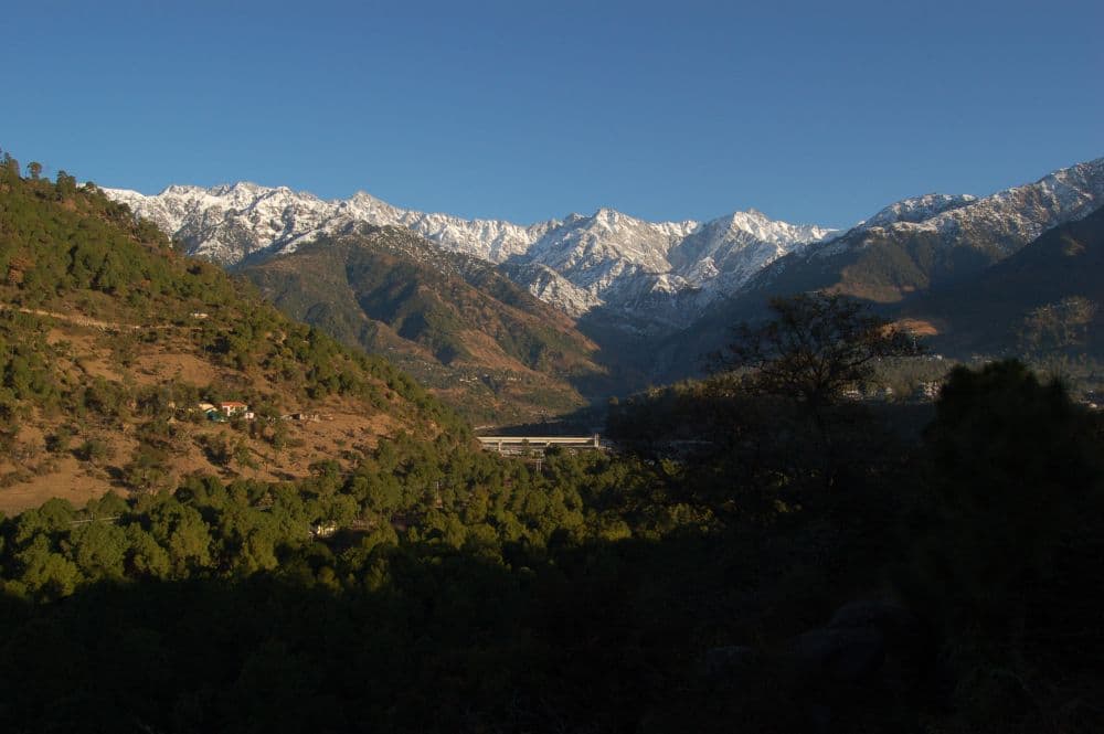 Palampur