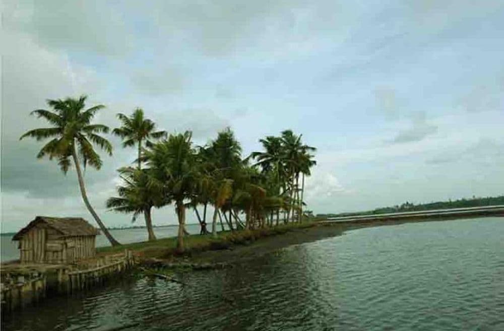 Veeranpuzha Lake and Backwaters