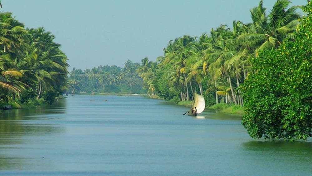 Kuttanad Backwaters