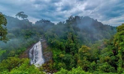 Pandikuzhi Waterfalls