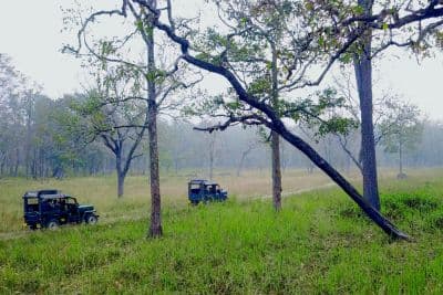 Muthanga Wildlife Sanctuary