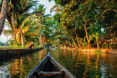 Kochi Backwaters