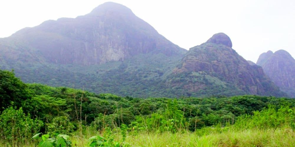 Agasthyakoodam