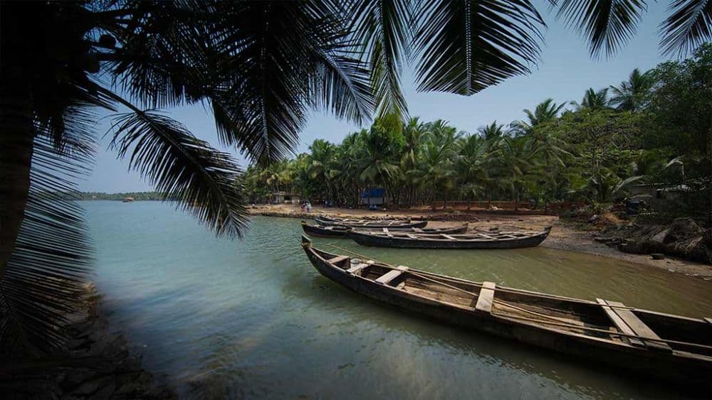 Valiyaparamba Backwaters