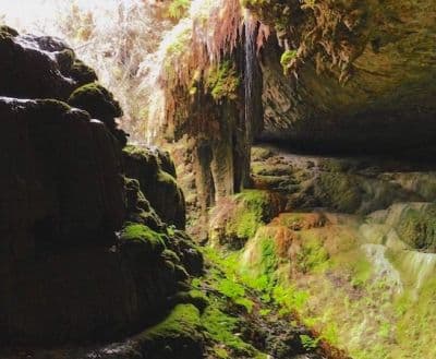 Alfred Caves