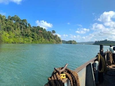 Parrot Island