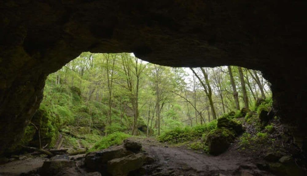 Nityanandashram Caves