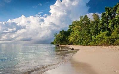 Lamiya Bay Beach
