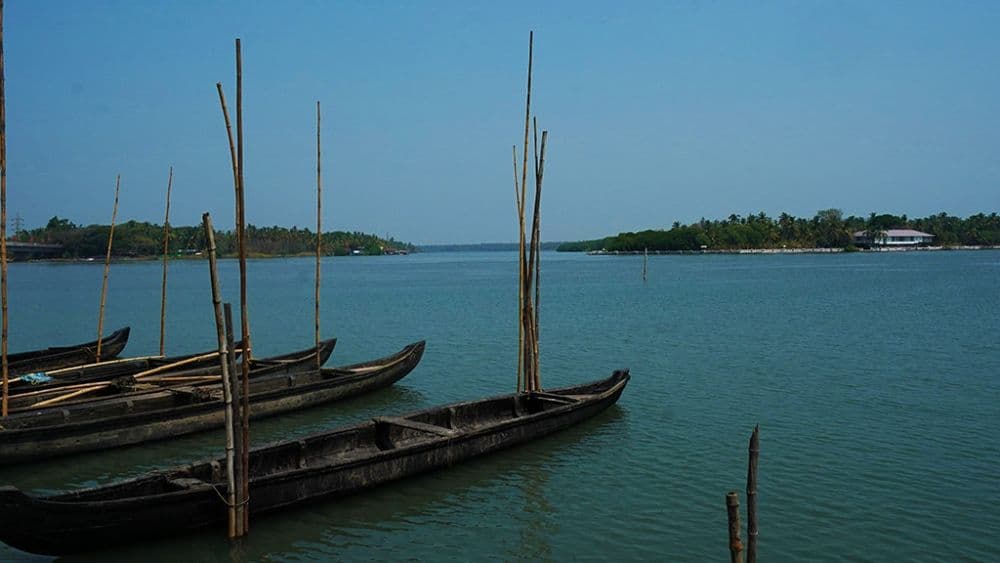 Chettuva Backwater
