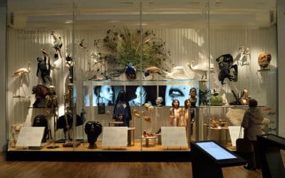 Anthropological Museum