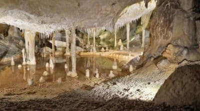 Alfred Caves