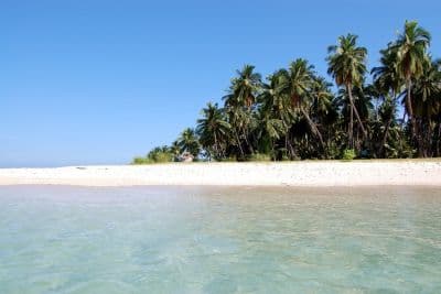 Avis Island