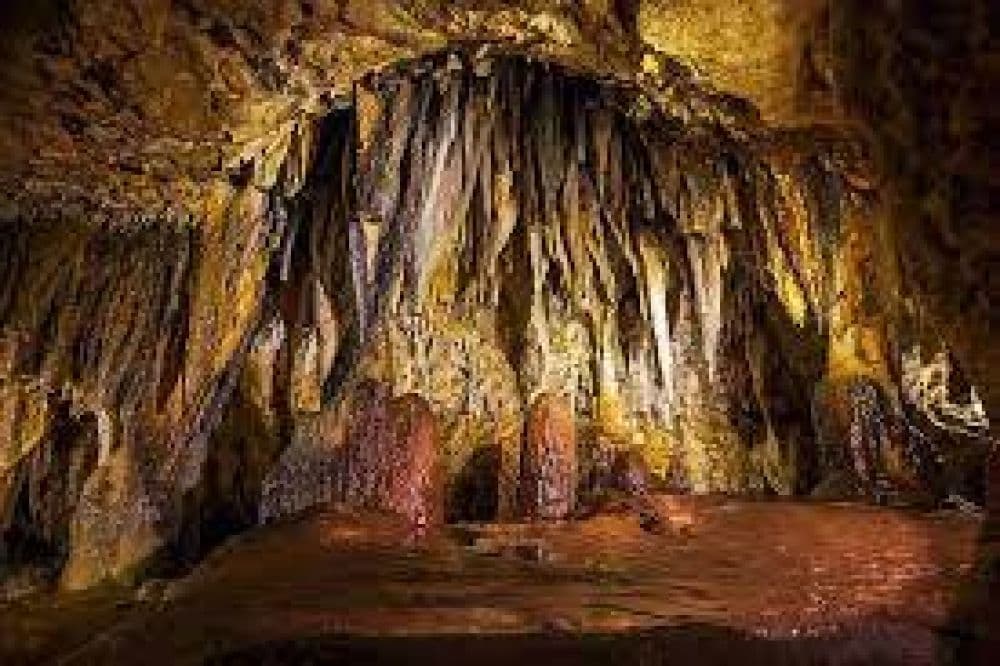 Alfred Caves